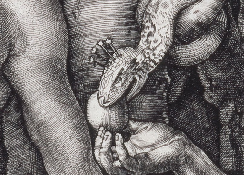 A crowned snake offers fruit to an open hand